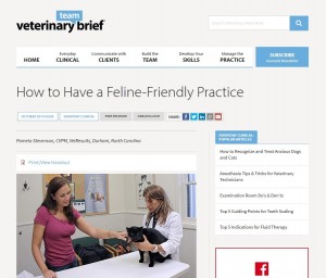 Feline Practice article